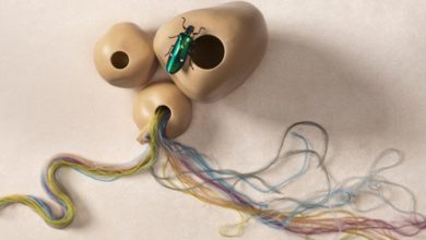 A close look at nature with Antron® Carpet fibre