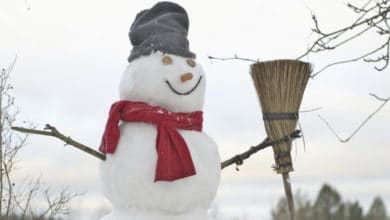 Winter is coming – remember your SCARF