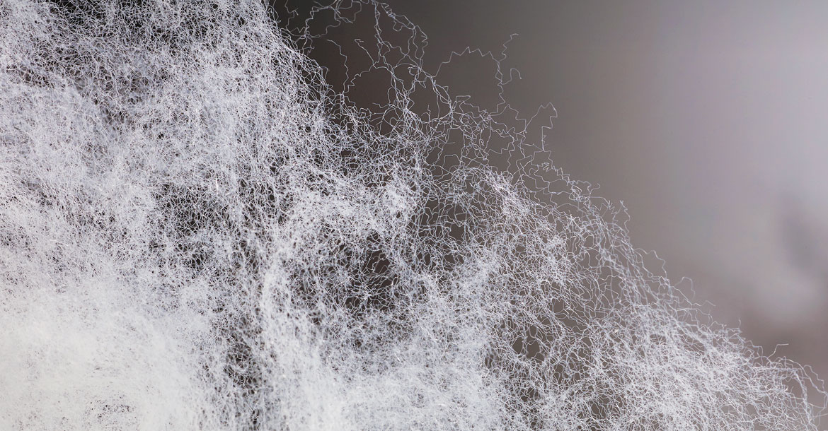 Beaulieu Fibres highlights Technology Innovator commitment at Techtextil 2017